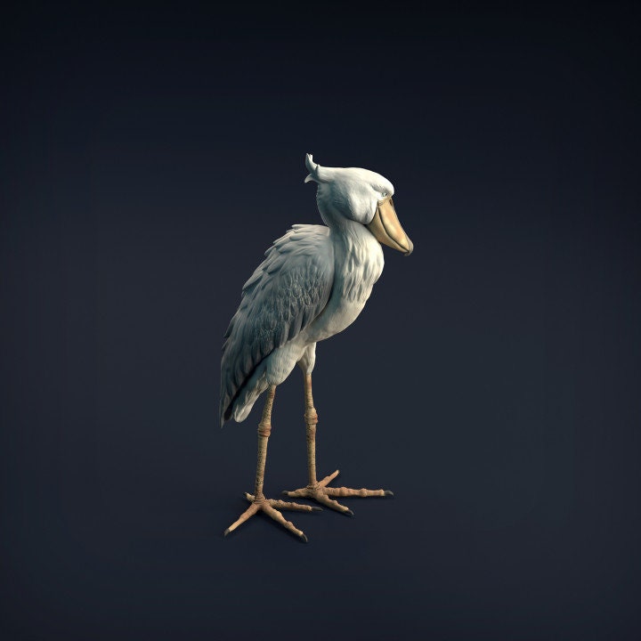 Shoebill - UNPAINTED 3D resin print/figure - Animal Den Miniatures