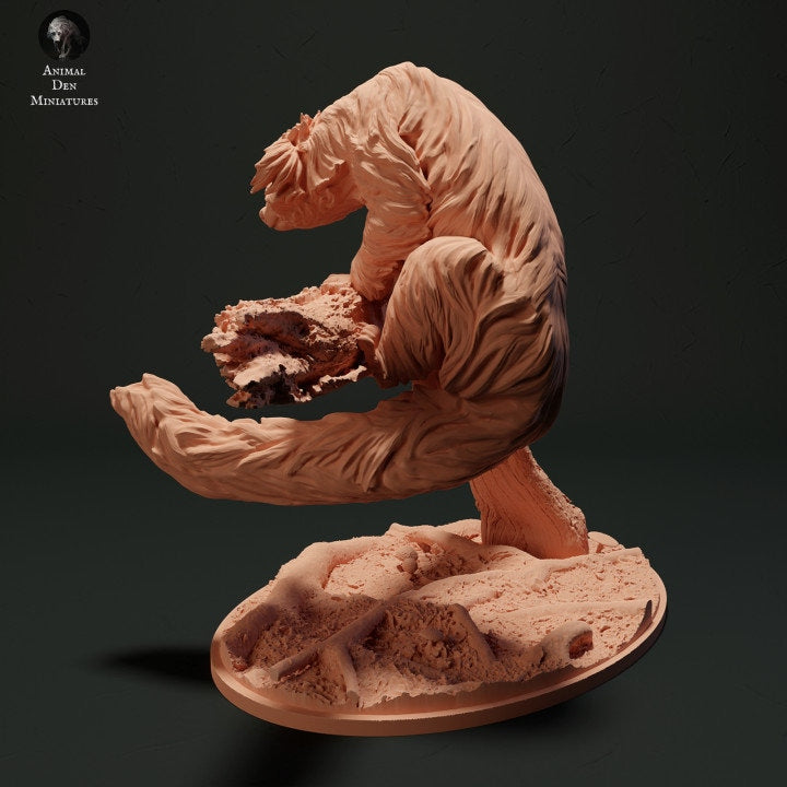 Binturong Climbing - UNPAINTED - Animal Den Miniatures