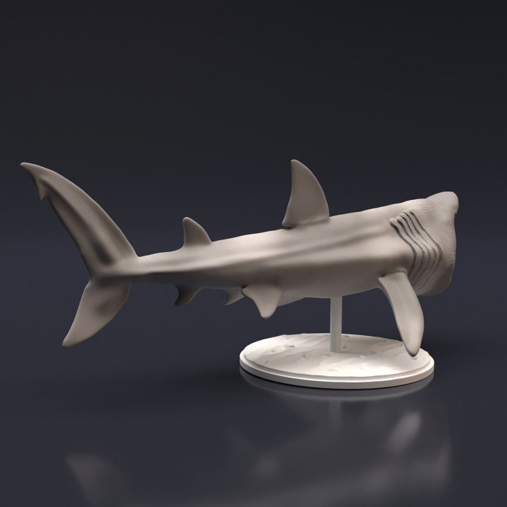 Basking Shark - UNPAINTED - Animal Den Miniatures