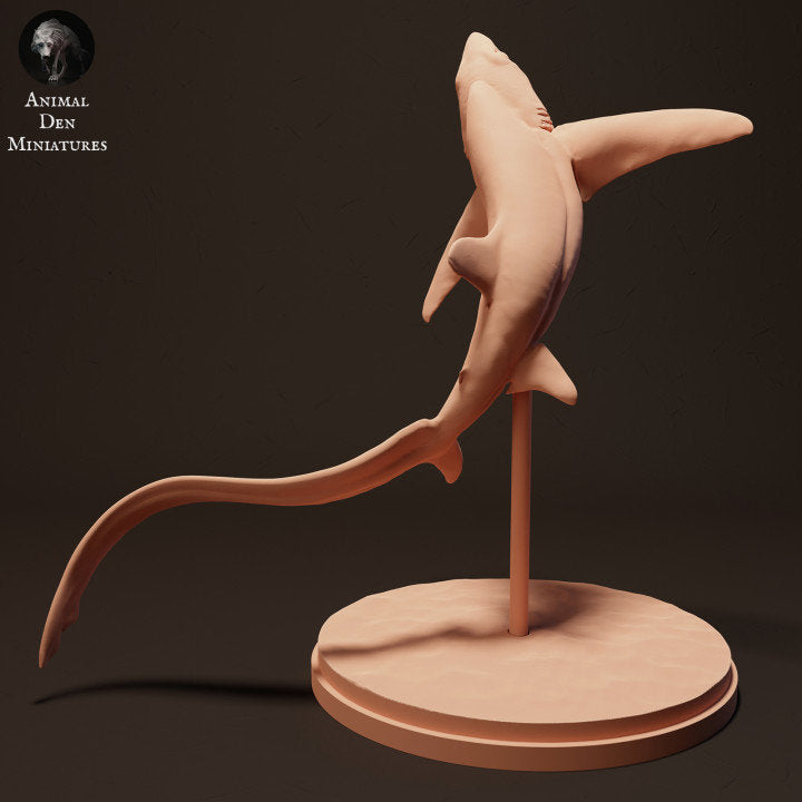 Big Eye Thresher Shark - UNPAINTED - Animal Den Miniatures