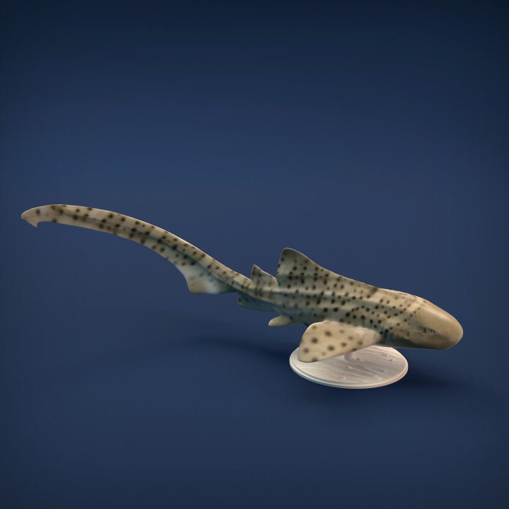 Zebra Shark - UNPAINTED - Animal Den Miniatures