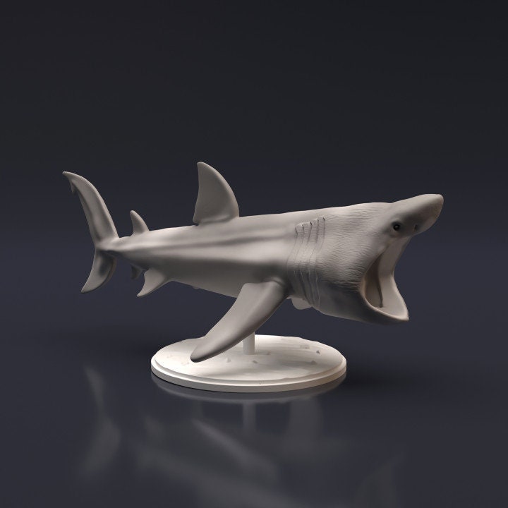 Basking Shark - UNPAINTED - Animal Den Miniatures