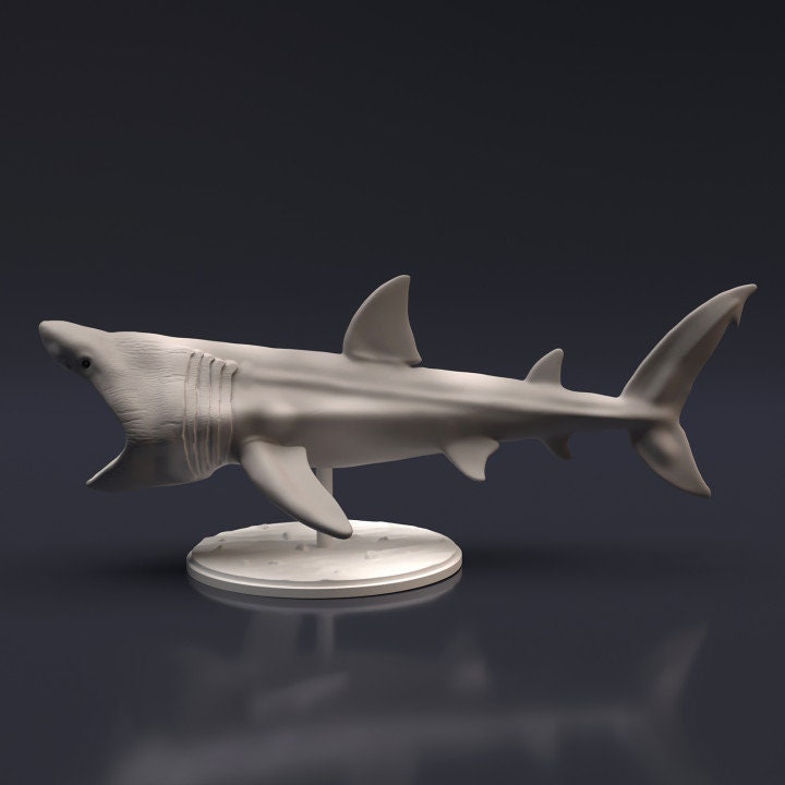Basking Shark - UNPAINTED - Animal Den Miniatures