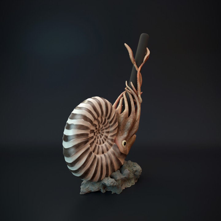 Ammonite pen holder - UNPAINTED - Dino and Dog Miniatures