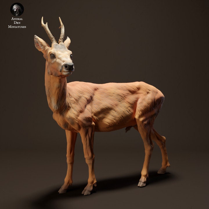 Roe Deer - UNPAINTED- Animal Den Miniatures