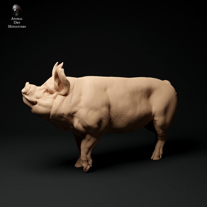 Berkshire Boar - UNPAINTED - Animal Den Miniatures