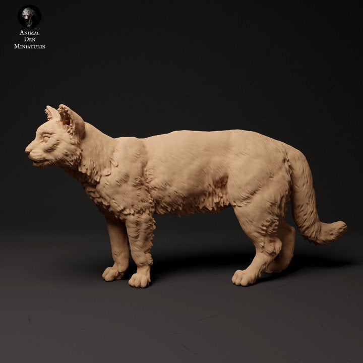 Scottish Wildcat - UNPAINTED - Animal Den Miniatures