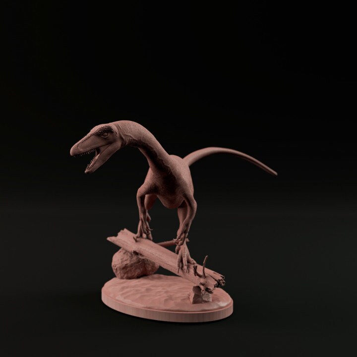 Coelophysis - Dino and Dog Miniatures