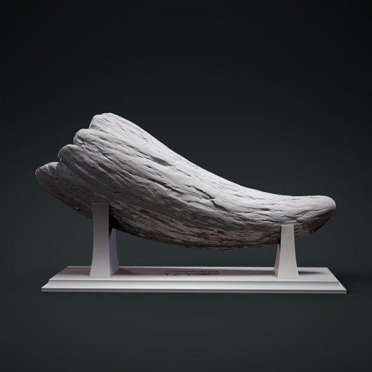 Trex Tooth - UNPAINTED - Clynche Art