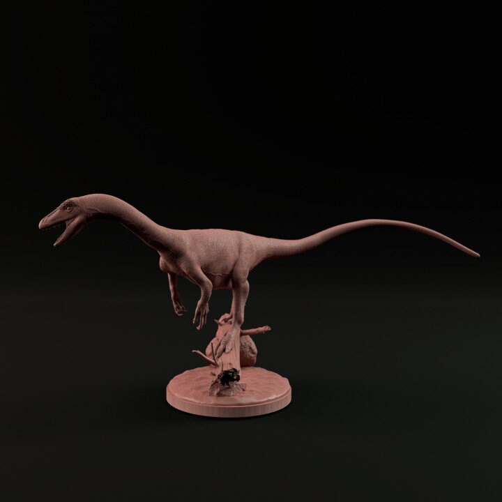 Coelophysis - Dino and Dog Miniatures