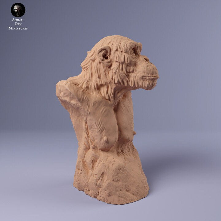 Chimpanzee Bust - UNPAINTED - Animal Den Miniatures