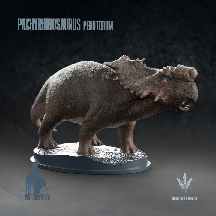 Pachyrhinosaurus perotorum - UNPAINTED - Miniature Museum