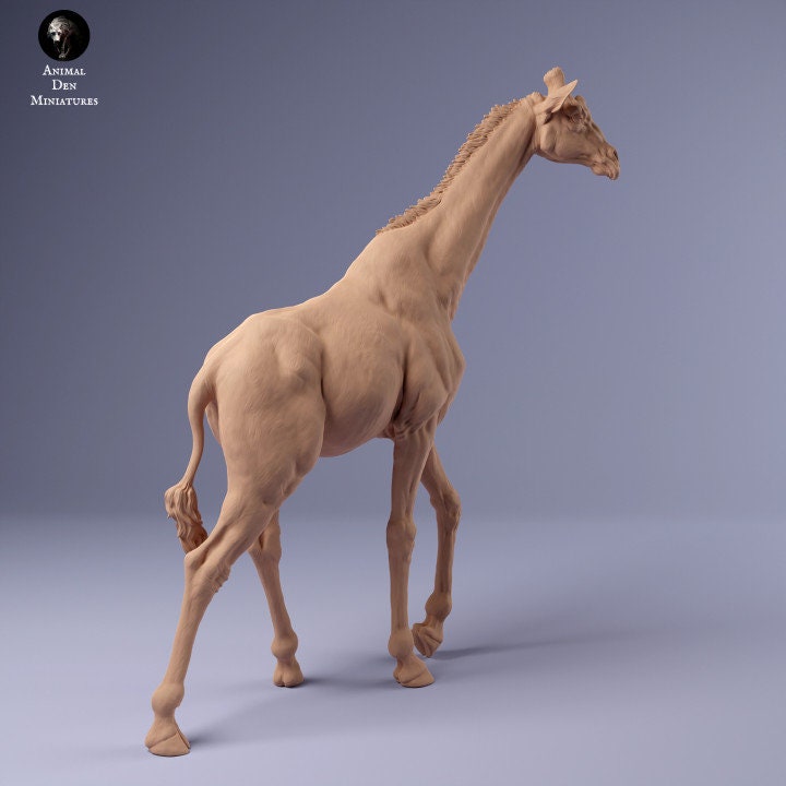 Rothschild's Giraffe Male - UNPAINTED - Animal Den Miniatures