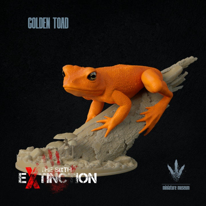 Golden Toad - UNPAINTED - Miniature Museum