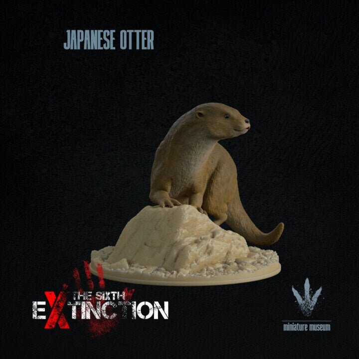 Japanese otter : Lutra nippon - UNPAINTED - Miniature Museum