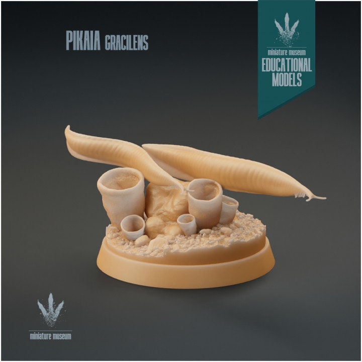 Pikaia gracilens - UNPAINTED - Miniature Museum