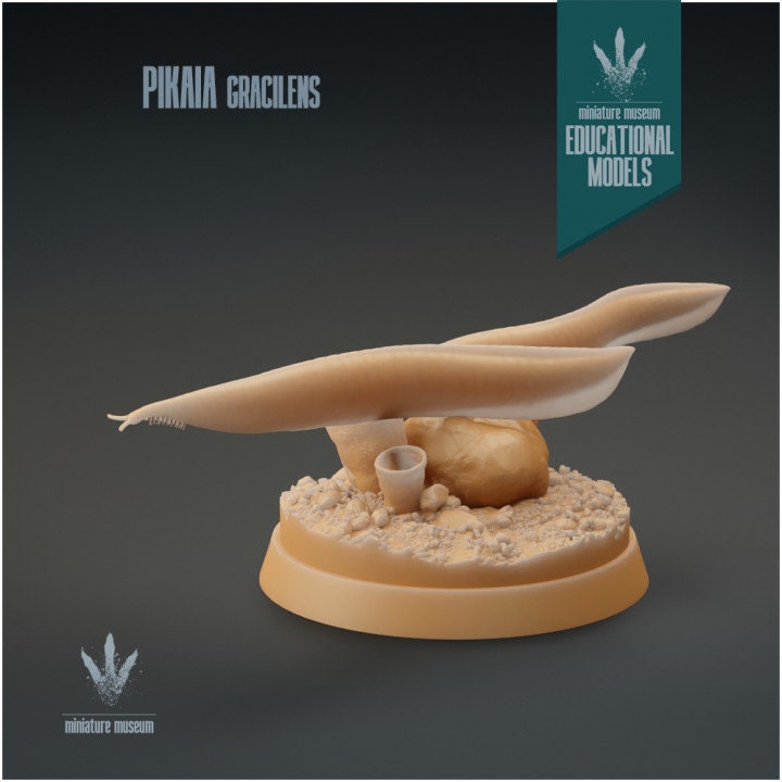 Pikaia gracilens - UNPAINTED - Miniature Museum