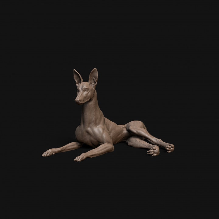 Pharaoh Hound dog laying down- Dino and Dog Miniatures