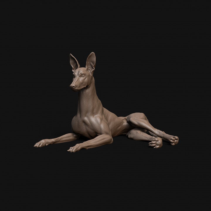 Pharaoh Hound dog laying down- Dino and Dog Miniatures