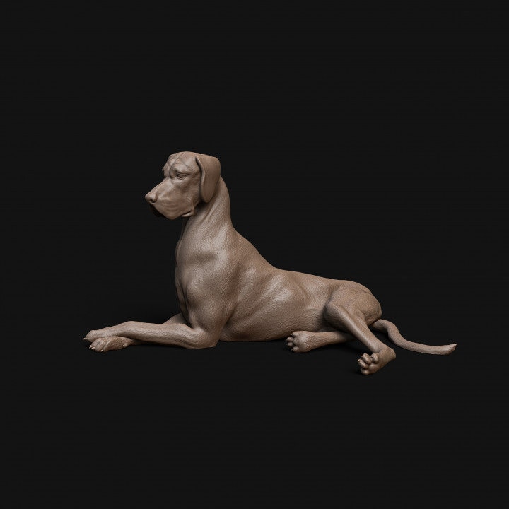 Great Dane resting dog - Dino and Dog Miniatures