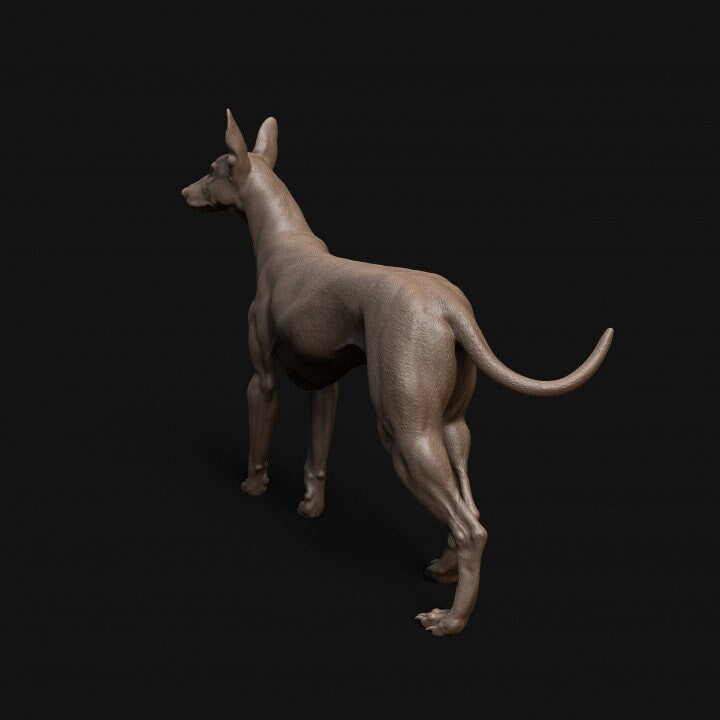 Pharaoh Hound dog - Dino and Dog Miniatures