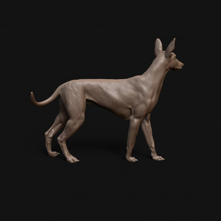 Pharaoh Hound dog - Dino and Dog Miniatures