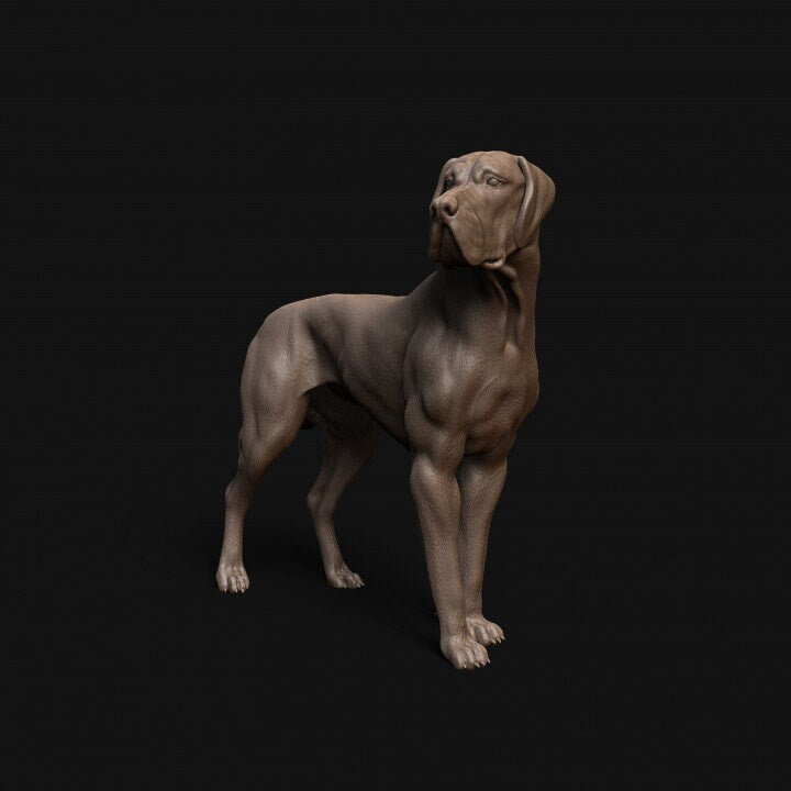 Great Dane dog - Dino and Dog Miniatures