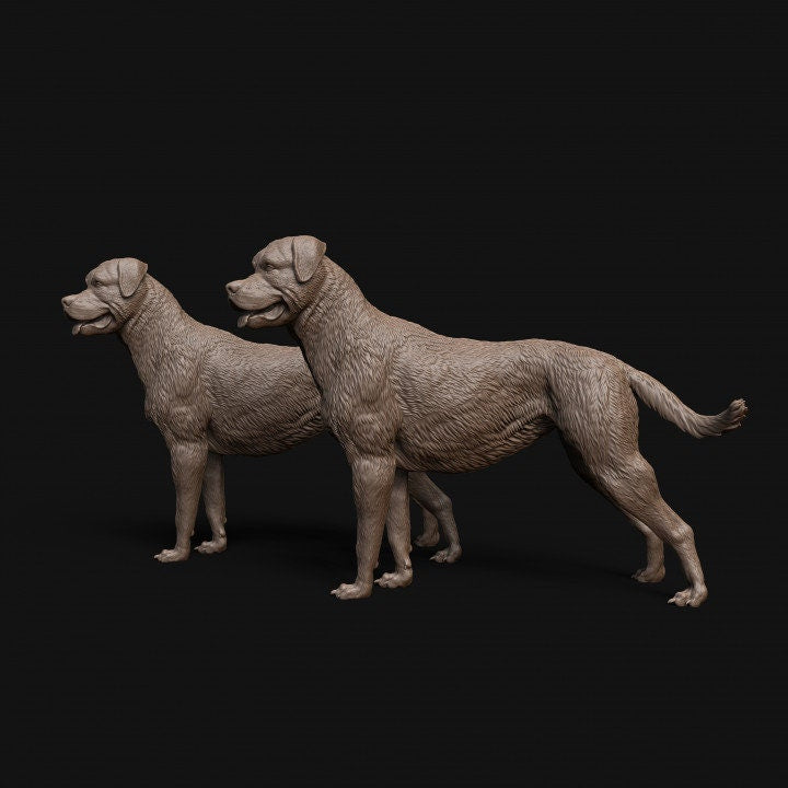 Rottweiler dog standing - Dino and Dog Miniatures