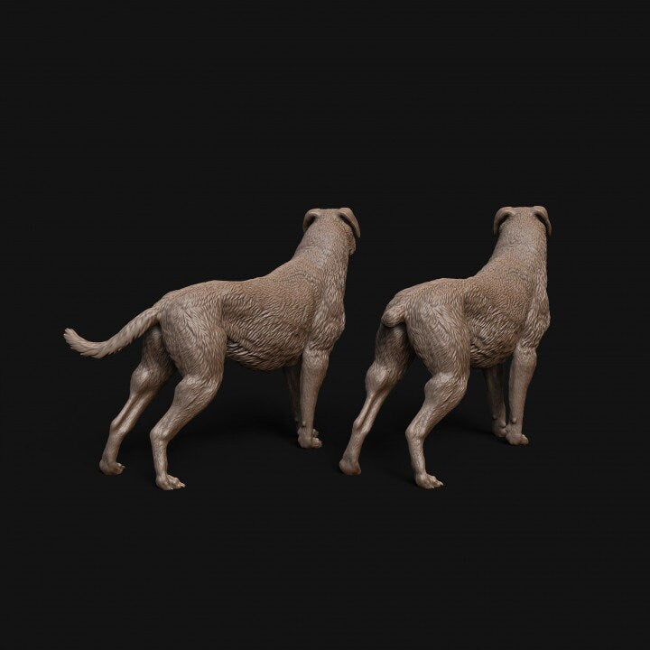 Rottweiler dog standing - Dino and Dog Miniatures