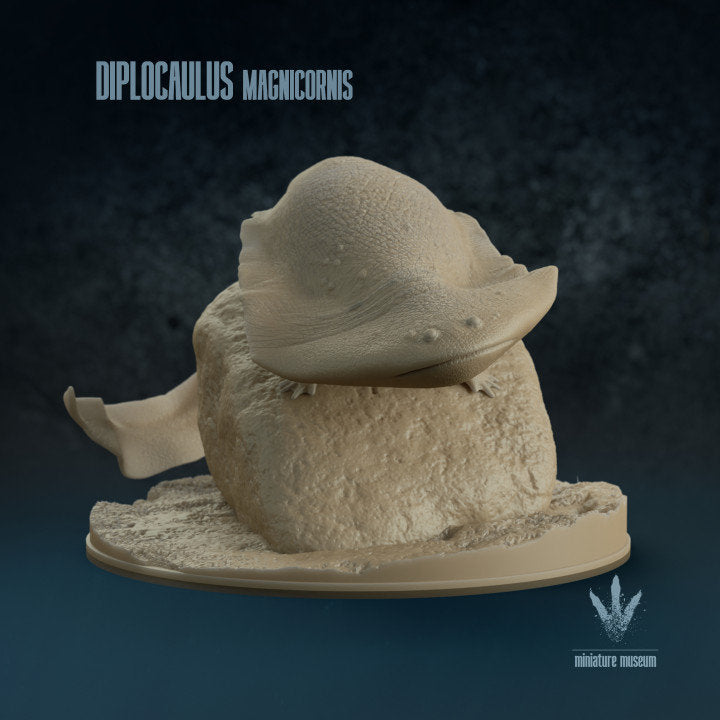 Diplocaulus Magnicornis - UNPAINTED - Miniature Museum