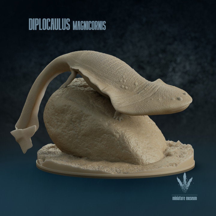 Diplocaulus Magnicornis - UNPAINTED - Miniature Museum