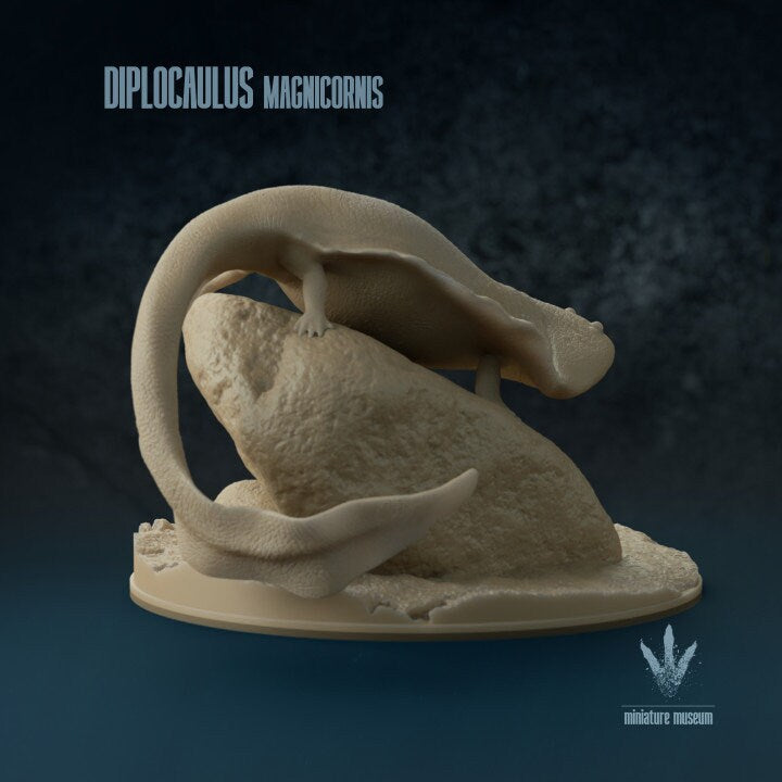 Diplocaulus Magnicornis - UNPAINTED - Miniature Museum