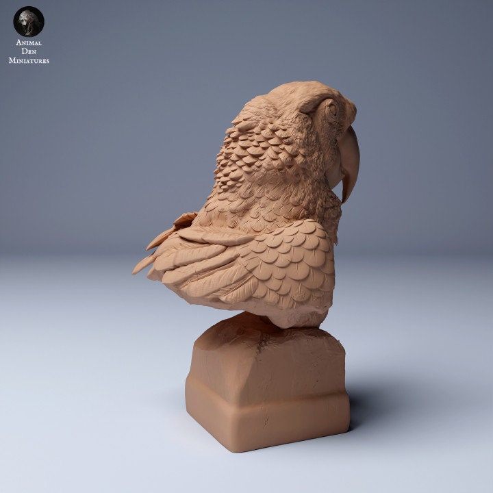 Scarlet Macaw (Ara macao) Bust - UNPAINTED - Animal Den Miniatures
