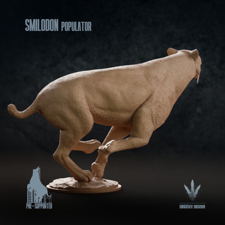 Smilodon populator - UNPAINTED - Miniature Museum