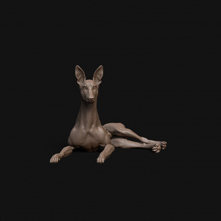 Pharaoh Hound dog laying down- Dino and Dog Miniatures