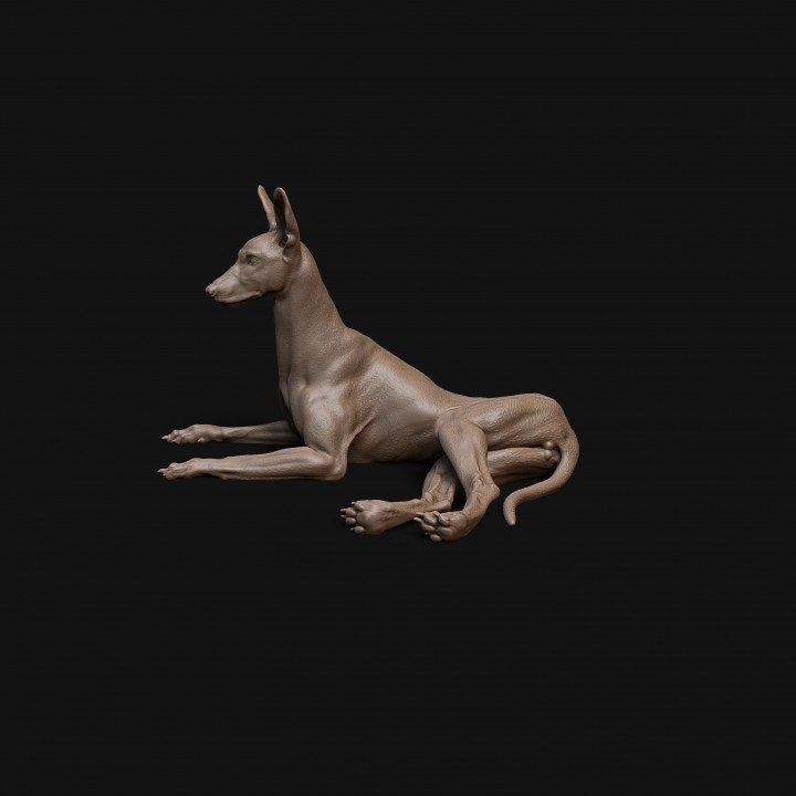 Pharaoh Hound dog laying down- Dino and Dog Miniatures