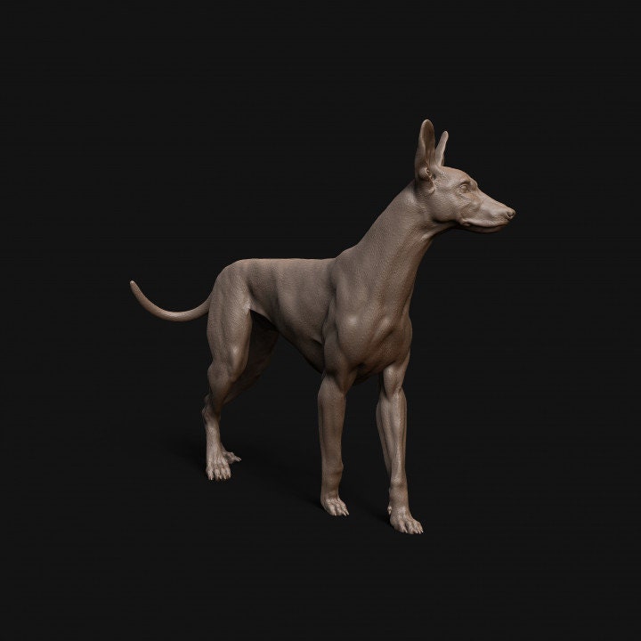 Pharaoh Hound dog - Dino and Dog Miniatures
