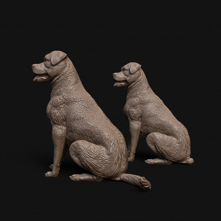 Rottweiler dog sitting - Dino and Dog Miniatures