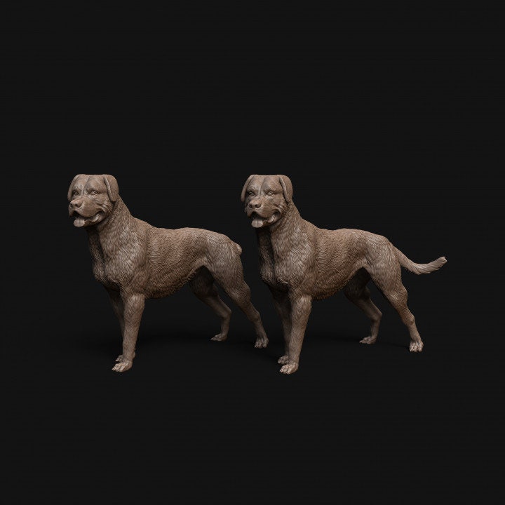 Rottweiler dog standing - Dino and Dog Miniatures