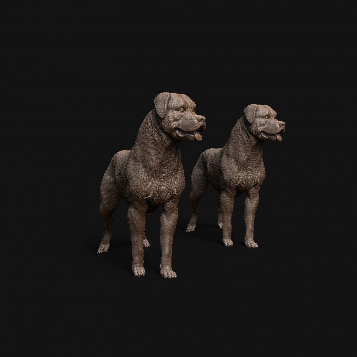 Rottweiler dog standing - Dino and Dog Miniatures