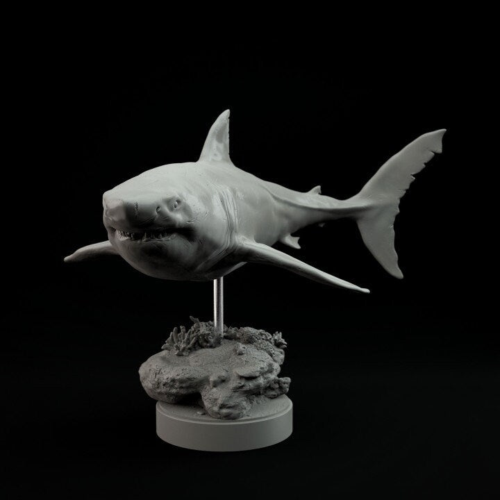Carcharocles chubutensis - Dino and Dog Miniatures