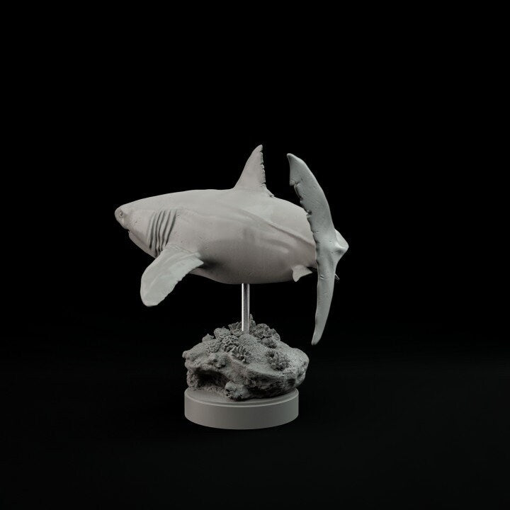 Carcharocles chubutensis - Dino and Dog Miniatures