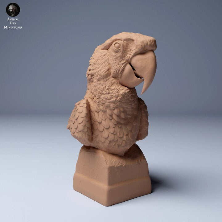 Scarlet Macaw (Ara macao) Bust - UNPAINTED - Animal Den Miniatures