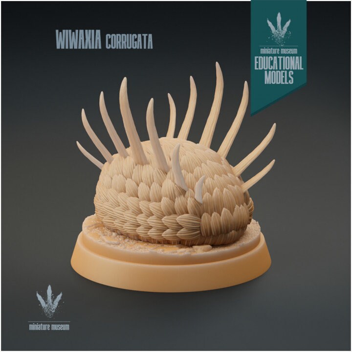 Wiwaxia corrugata - UNPAINTED - Miniature Museum