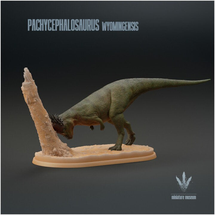 Pachycephalosaurus wyomingensis - UNPAINTED - Miniature Museum