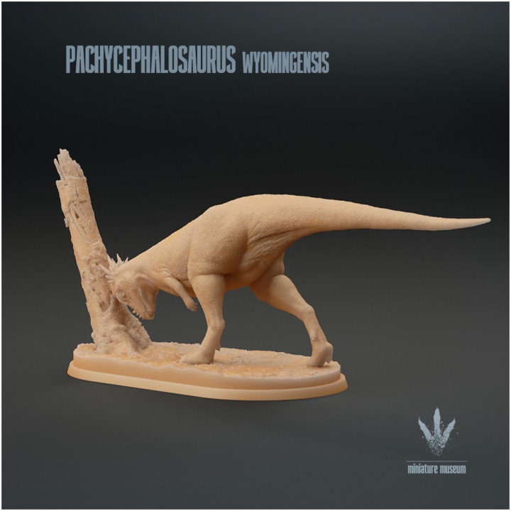 Pachycephalosaurus wyomingensis - UNPAINTED - Miniature Museum