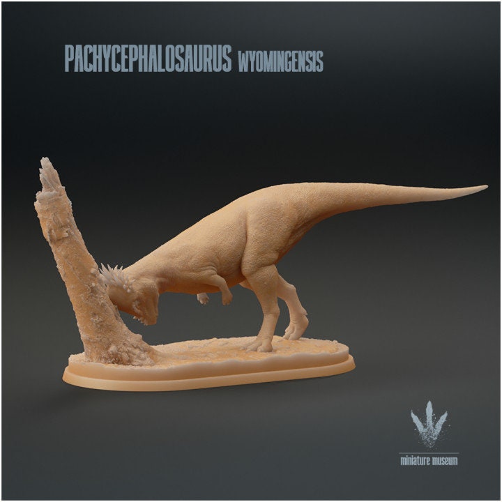 Pachycephalosaurus wyomingensis - UNPAINTED - Miniature Museum