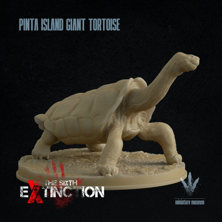Pinta Island tortoise : Chelonoidis niger abingdonii - UNPAINTED - Miniature Museum