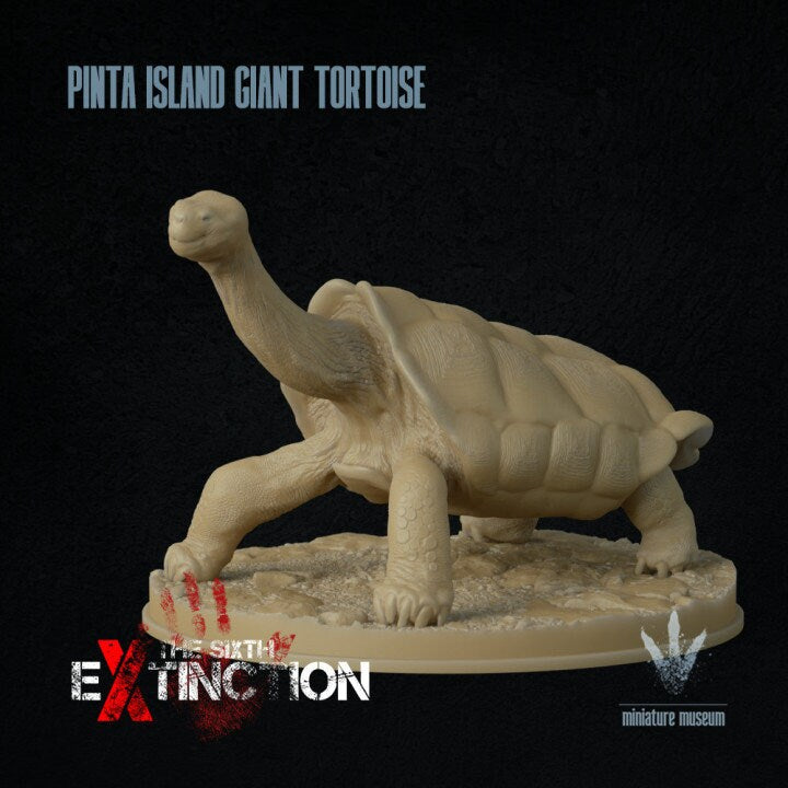 Pinta Island tortoise : Chelonoidis niger abingdonii - UNPAINTED - Miniature Museum