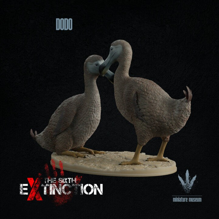 Dodo : A Couple of Dodos - UNPAINTED - Miniature Museum